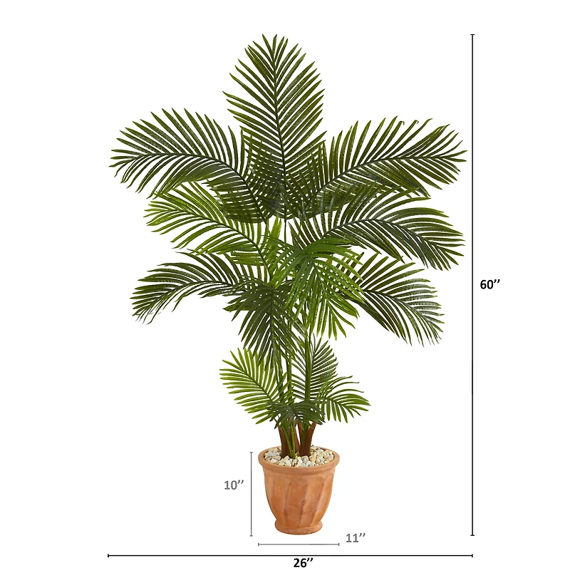 5ft. Areca Palm Tree in Terracotta Planter