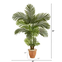 5ft. Areca Palm Tree in Terracotta Planter