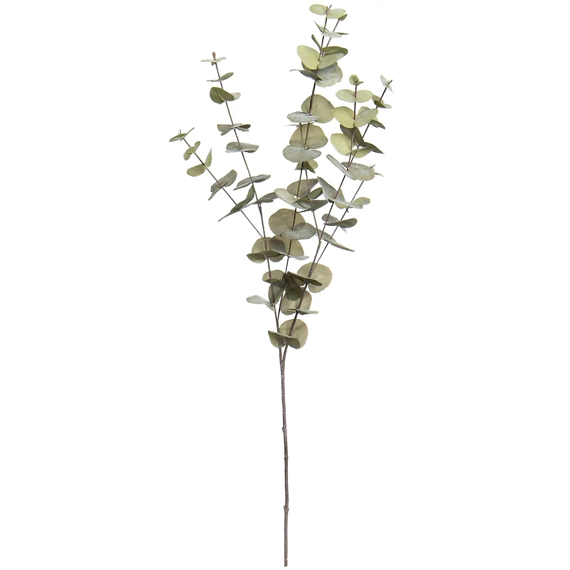 38" Light Green Eucalyptus Stem by Ashland®