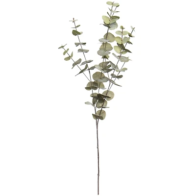 38" Light Green Eucalyptus Stem by Ashland®