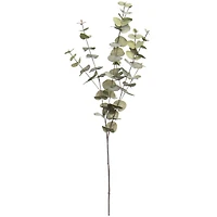 38" Light Green Eucalyptus Stem by Ashland®