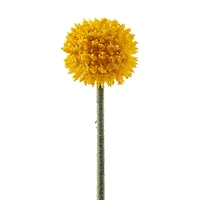 16 Pack: Yellow Billy Ball Stem by Ashland®