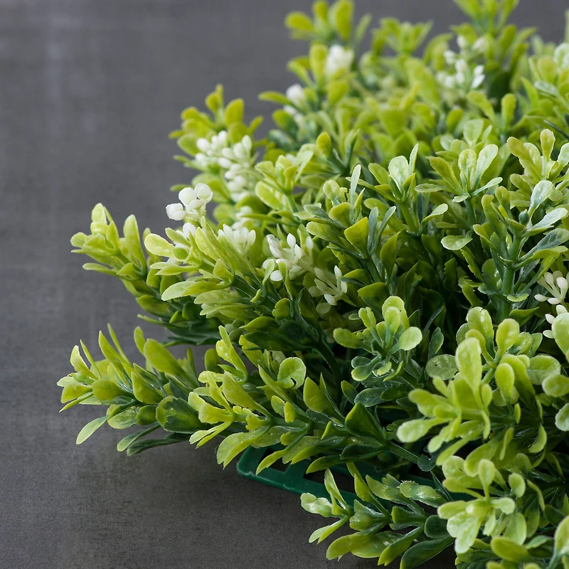 Green Boxwood Mat by Ashland®