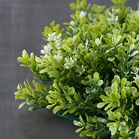 Green Boxwood Mat by Ashland®