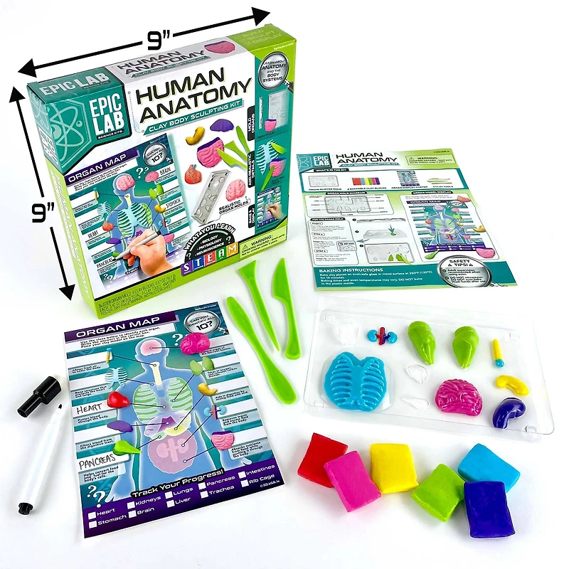 ArtSkills® Epic Lab Human Anatomy STEM Kit