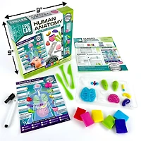 ArtSkills® Epic Lab Human Anatomy STEM Kit