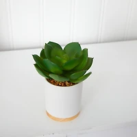 6'' Succulent Artificial Plant in White Ceramic Planter