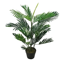 3.3ft. Green Potted Tropical Mini Palm Tree