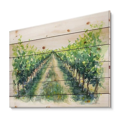Designart - Rural Scene Vineyard Road