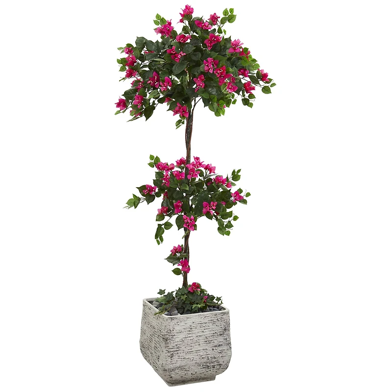 5ft. Bougainvillea Topiary Tree in White Planter