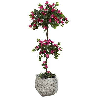 5ft. Bougainvillea Topiary Tree in White Planter