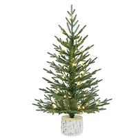 3ft. Pre-Lit Arctic Fir Artificial Potted Christmas Tree, Warm White LED Lights