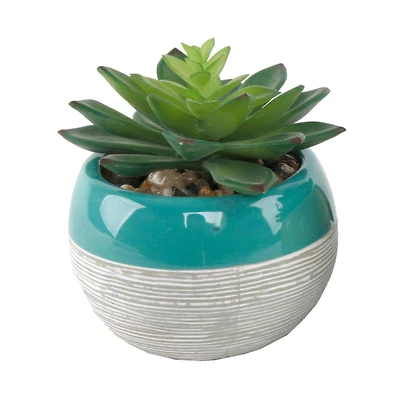 Flora Bunda® Succulent In Two Tone Pattern Teal Ceramic Pot