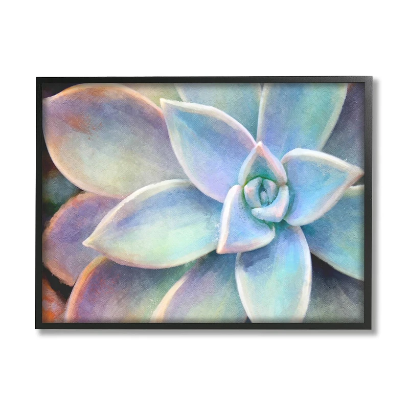 Stupell Industries Succulent Plant Vibrant Bloom Painting Framed Wall Art