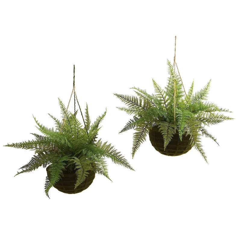 13'' Leather Fern in Mossy Hanging Basket, 2ct.