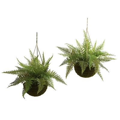 13'' Leather Fern in Mossy Hanging Basket, 2ct.