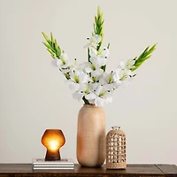 45" White Gladiolus Flower Stems, 3ct.