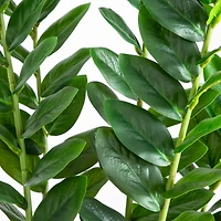 5ft. Artificial Zamioculcas Plant