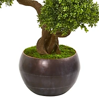 3.7ft. Four Ball Boxwood Topiary Tree in Round Planter