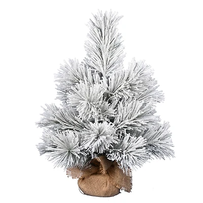 24" Unlit Frosted Beckett Pine Artificial Christmas Tree