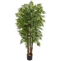 5.5ft. Potted Parlour Palm Tree