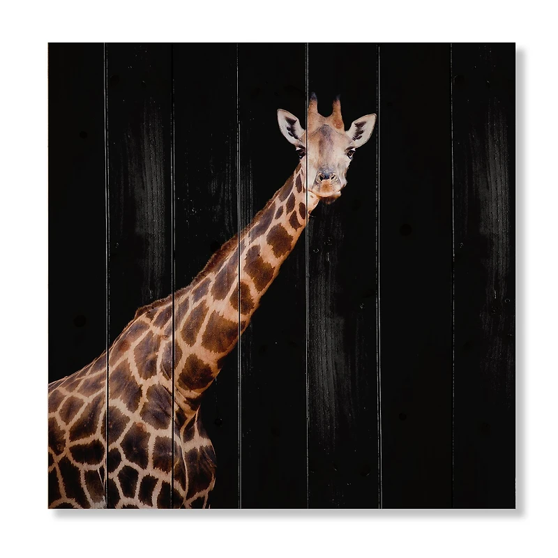 Designart - Portrait of A Giraffe VII
