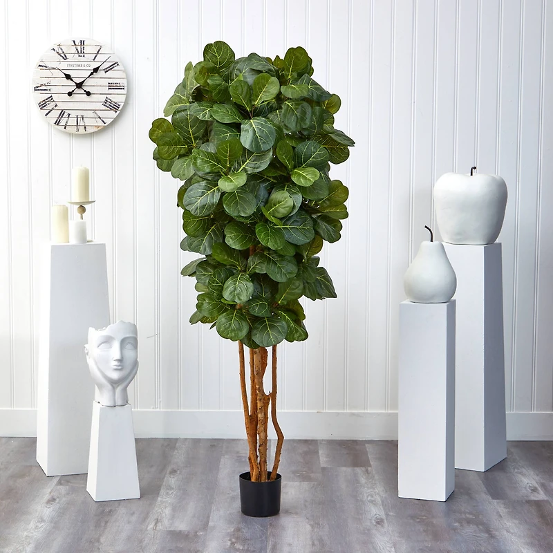 6ft. Potted Fiddle Leaf Fig Tree