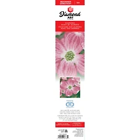 Diamond Art Beginner Dogwood Kit