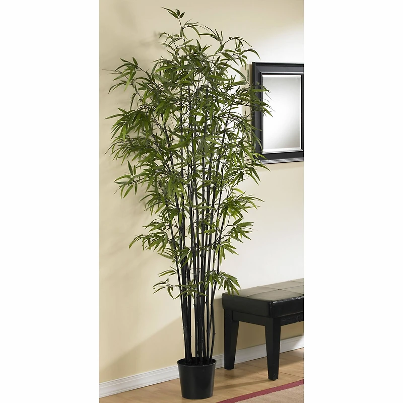 6.5ft. Potted Black Bamboo Silk Tree
