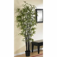 6.5ft. Potted Black Bamboo Silk Tree 