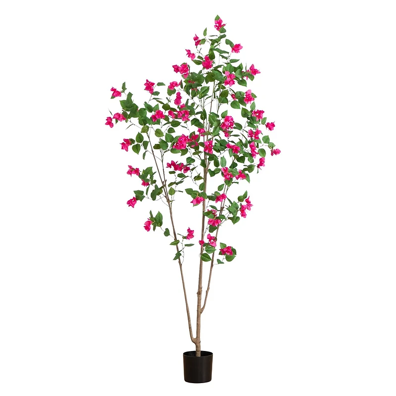 8ft. Potted Pink Minimalist Bougainvillea Tree