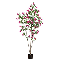 8ft. Potted Pink Minimalist Bougainvillea Tree