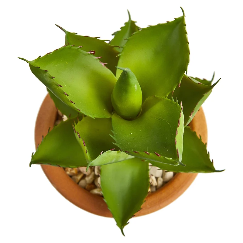 12" Purple & Green Succulents in Ceramic Vases, 2ct.