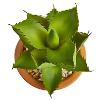 12" Purple & Green Succulents in Ceramic Vases, 2ct.