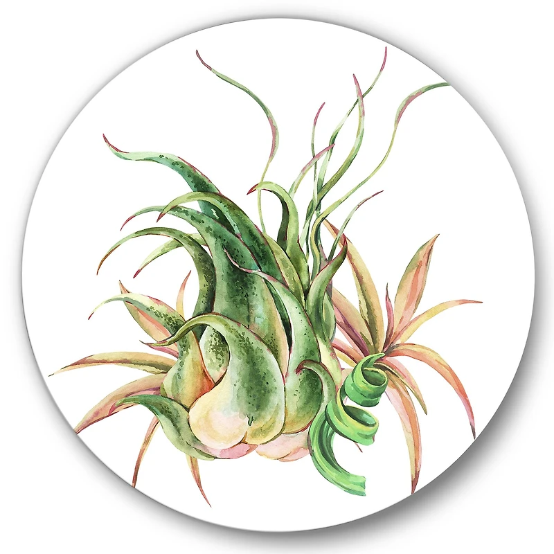 Designart - Tropical Leaves Air Plant Succulent