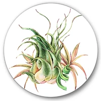 Designart - Tropical Leaves Air Plant Succulent