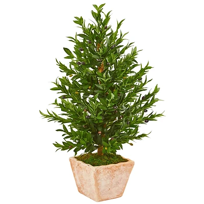 3ft. UV Resistant Olive Cone Topiary Tree in Terra Cotta Planter