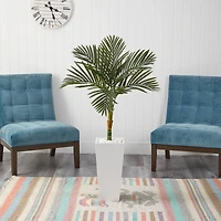 4.5ft. Golden Cane Palm Tree in Tall White Planter