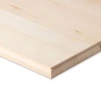 6 Pack: 16" Basswood Rectangle Plaque by Make Market®