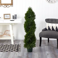 4ft. Potted Double Pond Cypress Spiral Topiary Tree