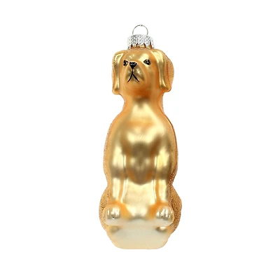 4.25" Gold Dog Glass Ornament by Ashland®