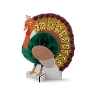 Turkey Honeycomb Craft Kit by Creatology™
