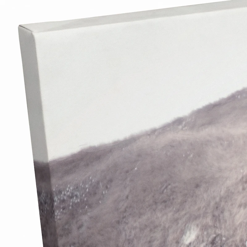 Two Bison 20" x 30" Canvas Wall Art