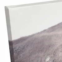 Two Bison 20" x 30" Canvas Wall Art