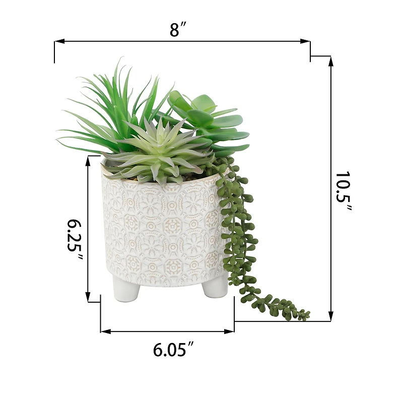 Flora Bunda® 10.5" Mixed Succulent Arrangement in Footed Ivory Cathedral Container