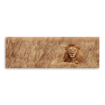 Majestic Lion Canvas Giclee