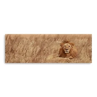 Majestic Lion Canvas Giclee