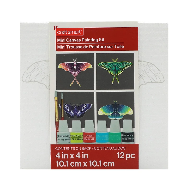 4" x 4" Moths Canvas Painting Kit by Craft Smart®