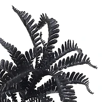 9.5" Black Fern Pick by Ashland®