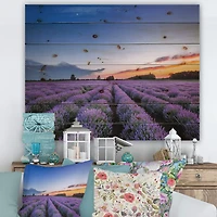 Designart - Sunrise & Dramatic Clouds Over Lavender Field I